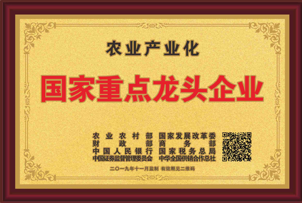 殊榮加身！湘豐茶業(yè)集團再獲標(biāo)桿龍頭企業(yè)和優(yōu)勢特色產(chǎn)業(yè)30強等稱號
