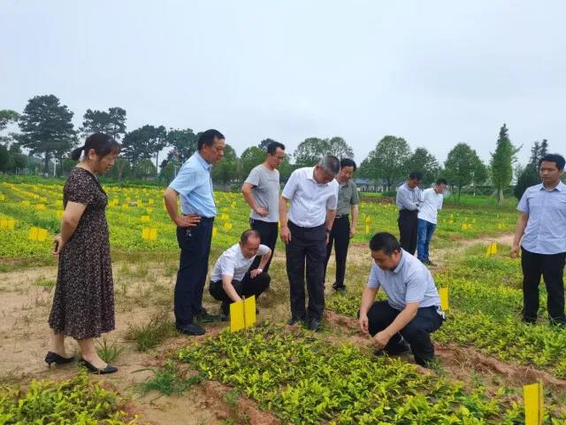 科技特派員在基地進行技術(shù)指導.jpg