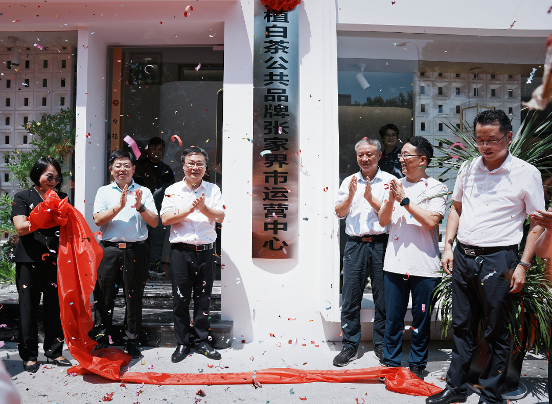 喜報(bào)！張家界白莓旗艦店盛裝開業(yè)暨桑植白茶公共品牌張家界市運(yùn)營中心隆重揭牌！